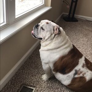 Meet your Posher, Erin